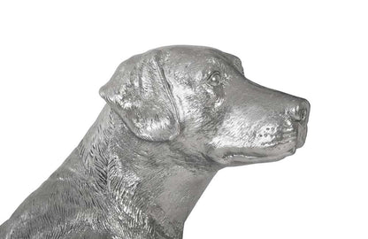 Phillips Collection - Labrador, Liquid Silver - PH95581 veiw 3