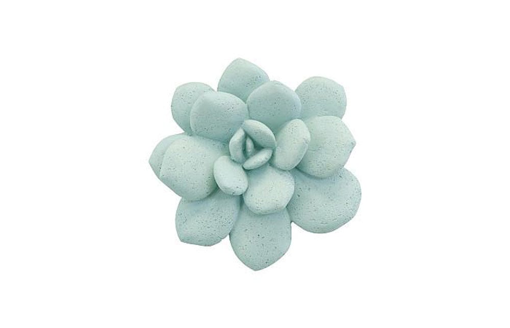 Phillips Collection - Laui Succulent Wall Art, Sage - PH104151 view 1