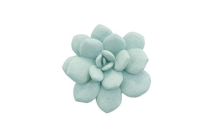 Phillips Collection - Laui Succulent Wall Art, Sage - PH104151 view 1