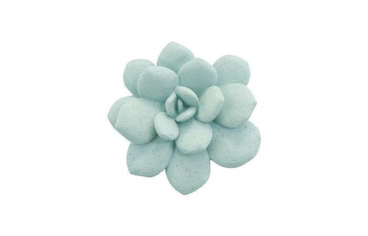 Phillips Collection - Laui Succulent Wall Art, Sage - PH104151 view 1