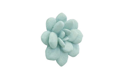 Phillips Collection - Laui Succulent Wall Art, Sage - PH104151 view 2