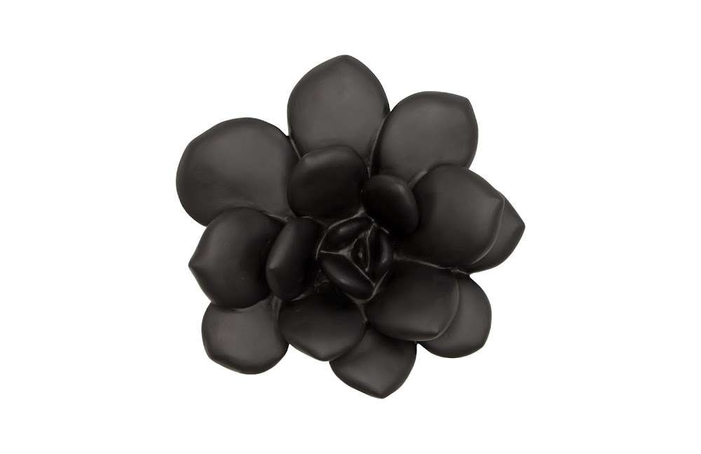 Phillips Collection - Laui Succulent Wall Art, Smooth Matte Black - PH111559 veiw 1