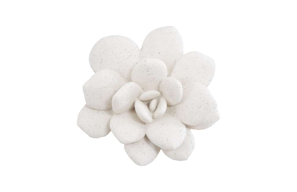 Phillips Collection - Laui Succulent Wall Art, White Stone - PH104150 veiw 1