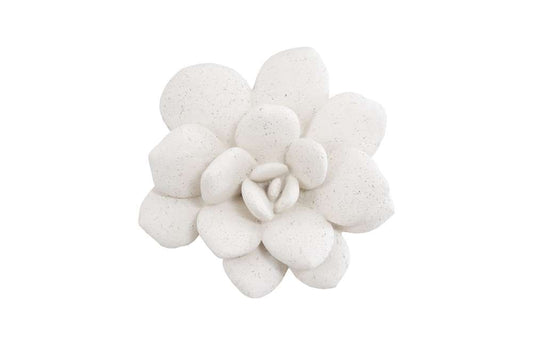 Phillips Collection - Laui Succulent Wall Art, White Stone - PH104150 veiw 1