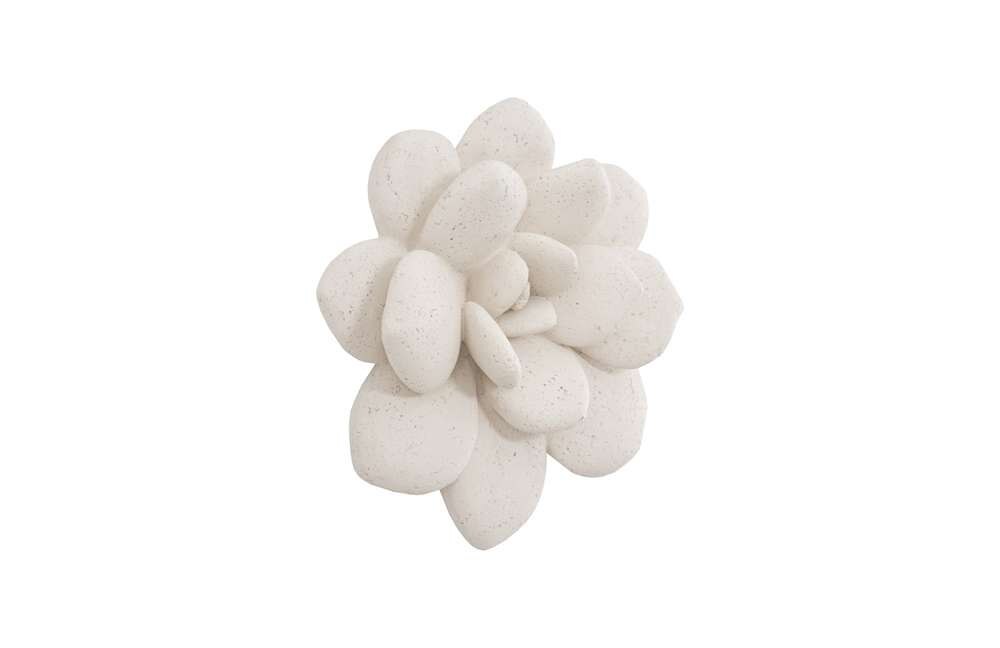 Phillips Collection - Laui Succulent Wall Art, White Stone - PH104150 veiw 2