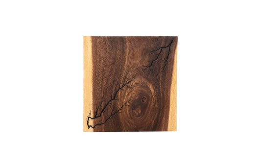 Phillips Collection - Lightning Wall Tile, Chamcha Wood - TH97693 view 1