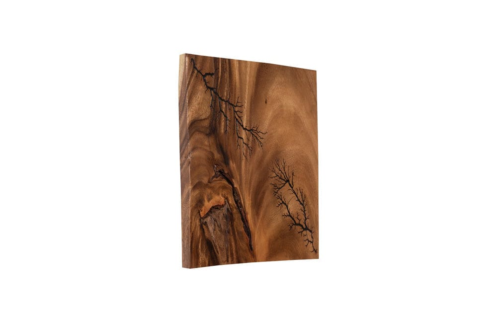 Phillips Collection - Lightning Wall Tile, Chamcha Wood - TH97693 view 5