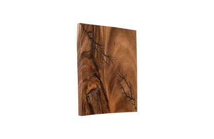 Phillips Collection - Lightning Wall Tile, Chamcha Wood - TH97693 view 5