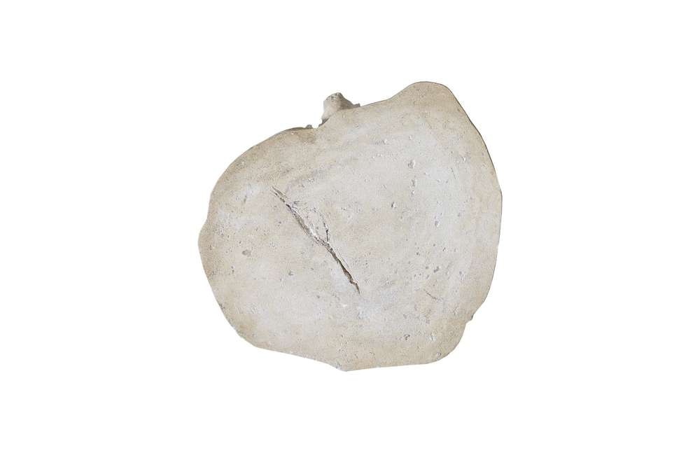 Phillips Collection Log Stool - Thumbnail 4