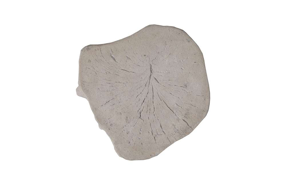 Phillips Collection - Log Stool, Roman Stone, SM - PH59418 veiw 3