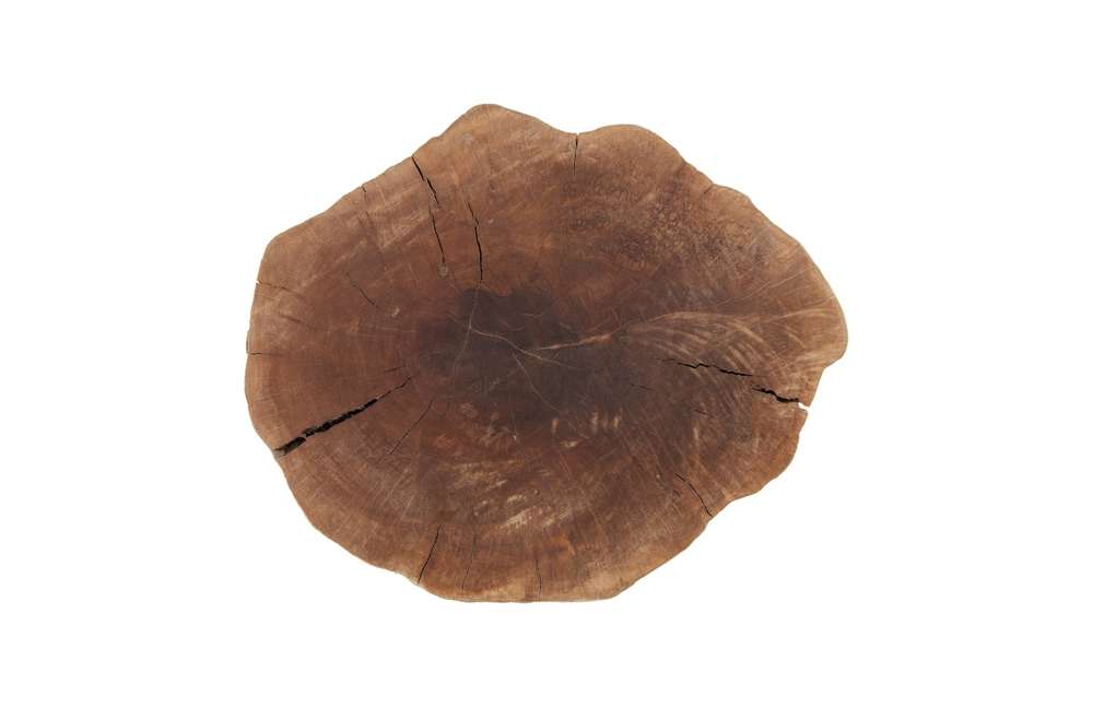 Phillips Collection - Longan Wood Stool, Assorted Size and Shapes - ID75188 veiw 2