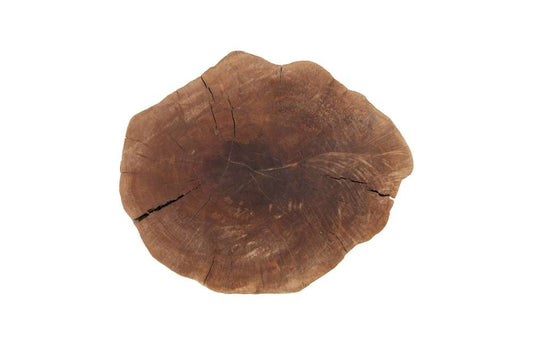 Phillips Collection - Longan Wood Stool, Assorted Size and Shapes - ID75188 veiw 2
