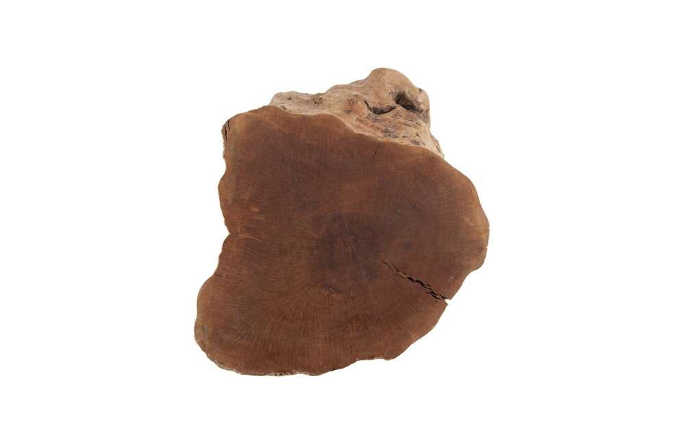 Phillips Collection - Longan Wood Stool, Assorted Size and Shapes - ID75188 veiw 5