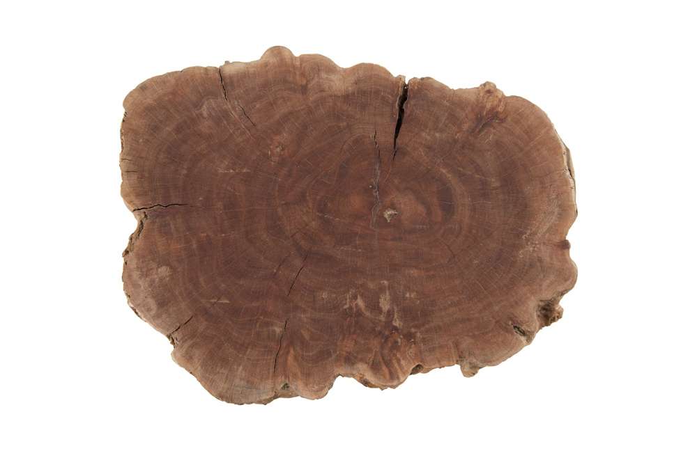 Phillips Collection - Longan Wood Stool, Assorted Size and Shapes - ID75188 veiw 6