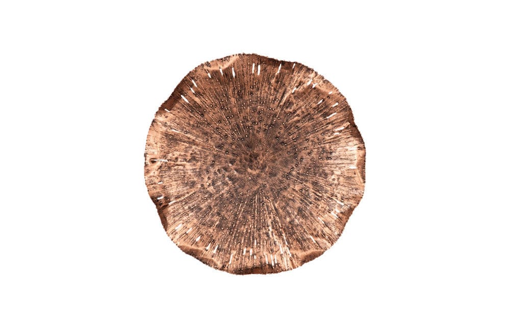 Phillips Collection - Lotus Wall Art, Copper/Black, MD - TH96157 view 1