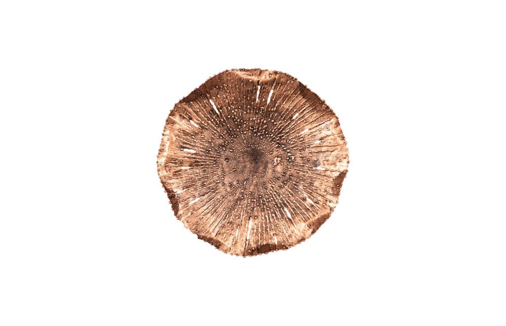 Phillips Collection - Lotus Wall Art, Copper/Black, SM - TH96156 view 1