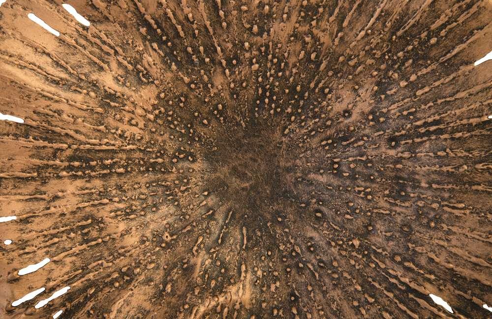 Phillips Collection - Lotus Wall Art, Copper/Black, SM - TH96156 veiw 3