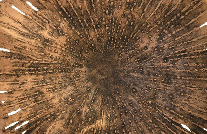 Phillips Collection - Lotus Wall Art, Copper/Black, SM - TH96156 veiw 3