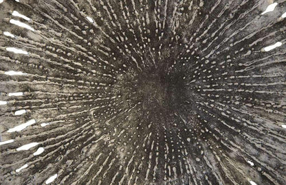 Phillips Collection - Lotus Wall Art, Silver/Black, SM - TH96159 veiw 3