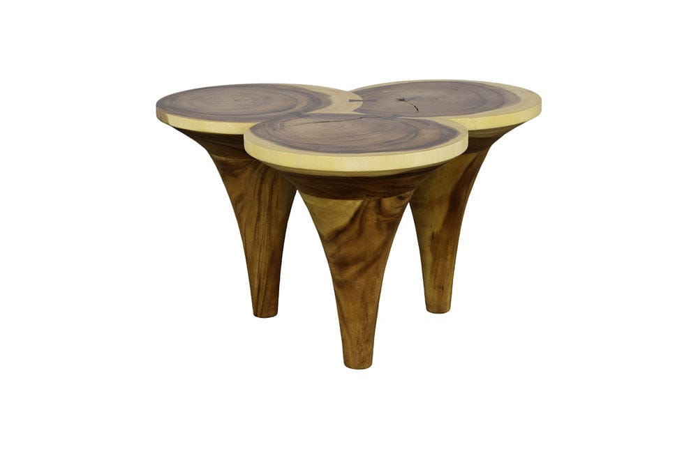 Phillips Collection - Marley Coffee Table, Natural - TH112228 view 1