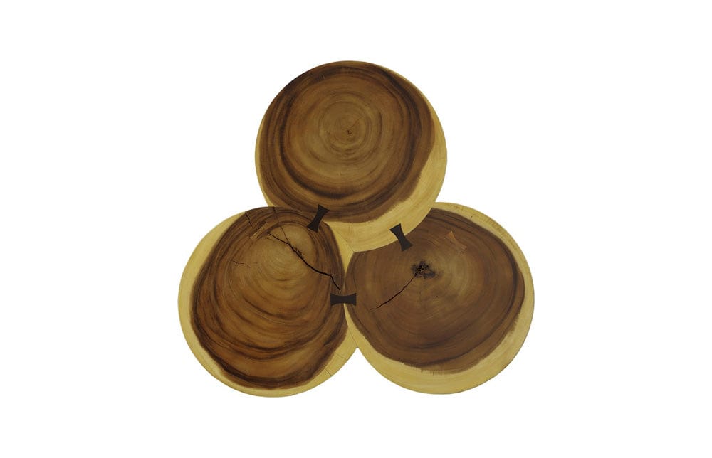 Phillips Collection - Marley Coffee Table, Natural - TH112228 view 2