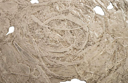 Phillips Collection - Molten Wall Disc, Large, Silver Leaf - PH83689 veiw 4