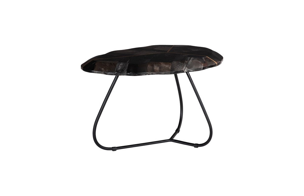 Phillips Collection - Mosaic Leaf Petrified Coffee Table, Small - ID116040 veiw 1