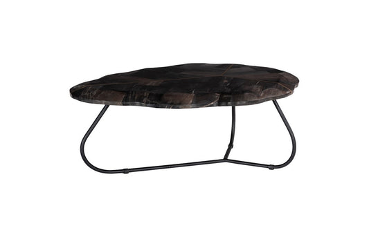 Phillips Collection - Mosaic Leaf Petrified Wood Coffee Table, Large - ID116041 veiw 1