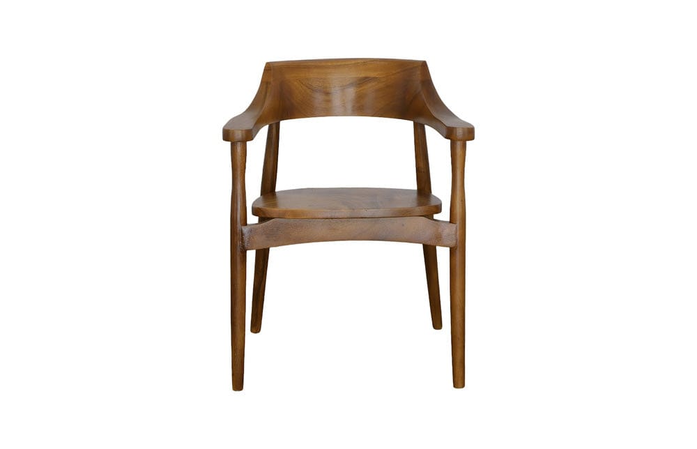 Phillips Collection - Origins Arm Chair, Natural - TH110598 view 4