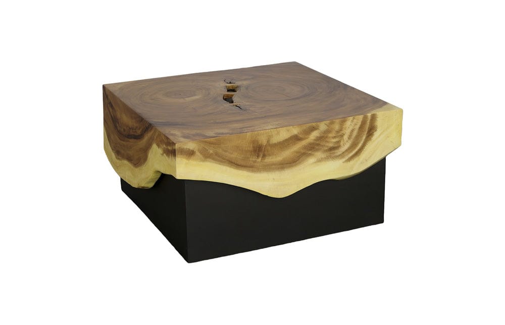 Phillips Collection - Overflow Coffee Table, Natural, Iron - TH110323 view 1