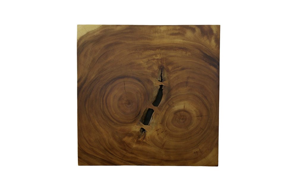 Phillips Collection - Overflow Coffee Table, Natural, Iron - TH110323 view 2
