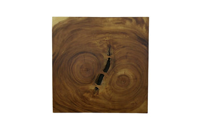 Phillips Collection - Overflow Coffee Table, Natural, Iron - TH110323 view 2