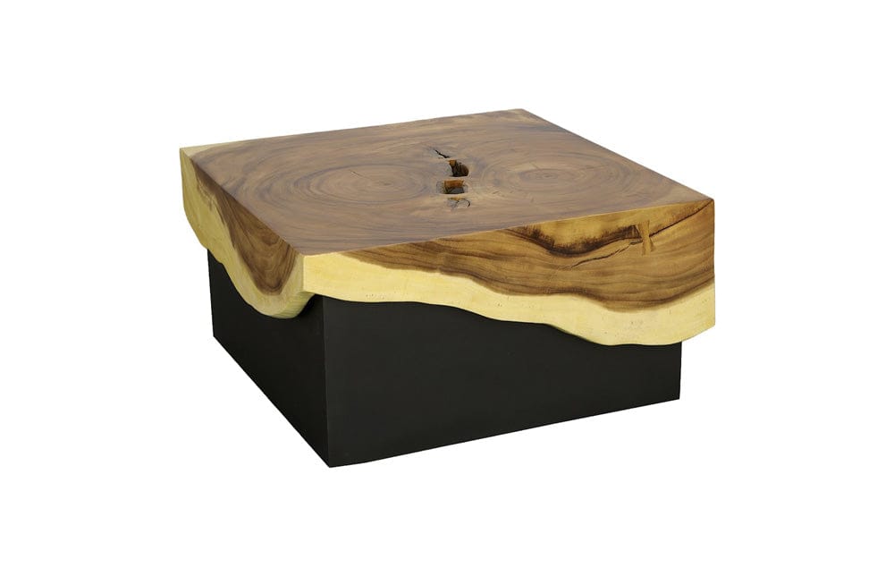 Phillips Collection - Overflow Coffee Table, Natural, Iron - TH110323 view 3