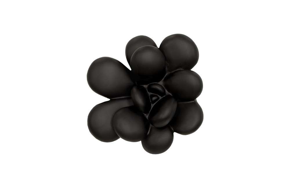 Phillips Collection - Oviferum Succulent Wall Art, Smooth Matte Black - PH111558 veiw 1