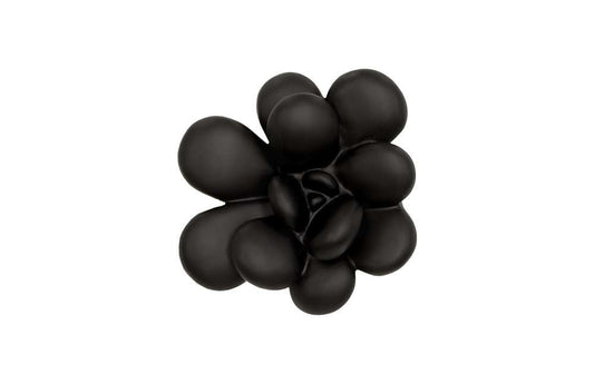 Phillips Collection - Oviferum Succulent Wall Art, Smooth Matte Black - PH111558 veiw 1