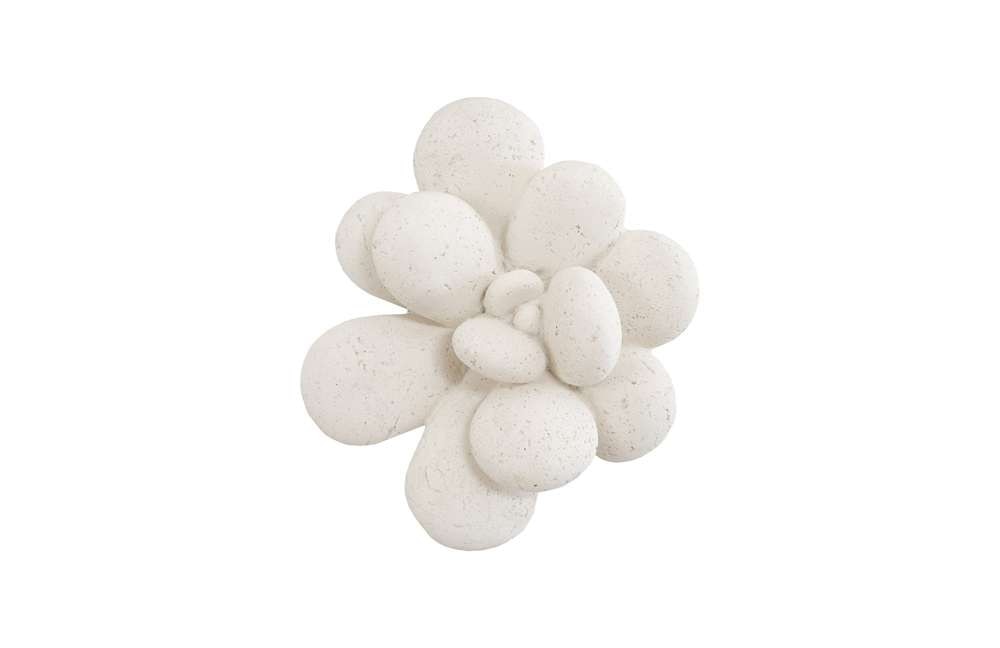 Phillips Collection - Oviferum Succulent Wall Art , White Stone - PH104154 veiw 1