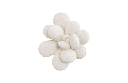 Phillips Collection - Oviferum Succulent Wall Art , White Stone - PH104154 veiw 1