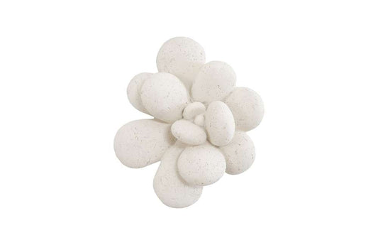 Phillips Collection - Oviferum Succulent Wall Art , White Stone - PH104154 veiw 1