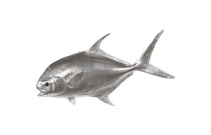 Phillips Collection - Permit Fish Wall Sculpture, Resin, Silver Leaf - PH66836 view 1