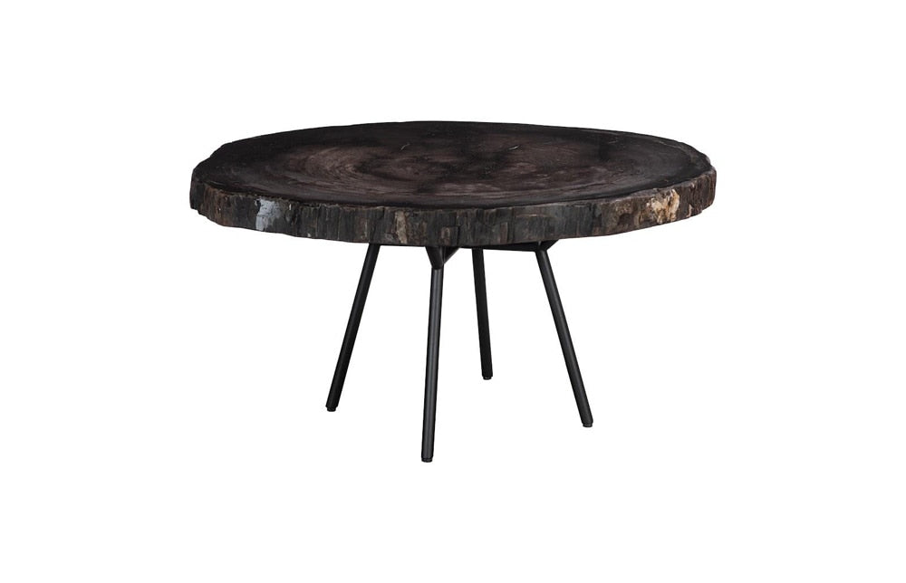 Phillips Collection - Petrified Coffee Table, Round, Metal Black Base - ID114671 veiw 1
