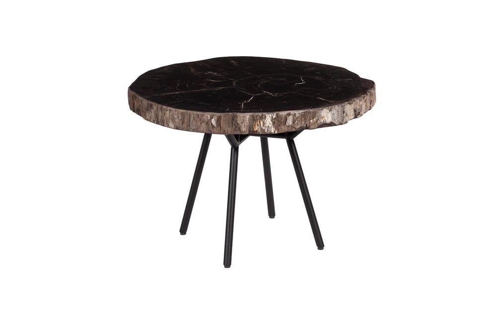 Phillips Collection - Petrified Coffee Table, Round, Metal Black Base - ID114670 veiw 1