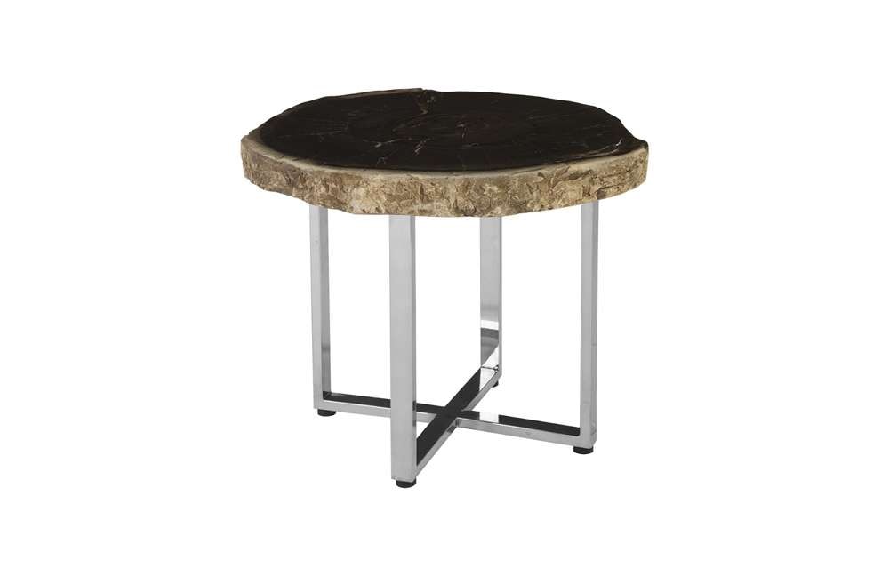 Phillips Collection - Petrified Wood Coffee Table, SS Legs, Assorted - ID85629 veiw 1