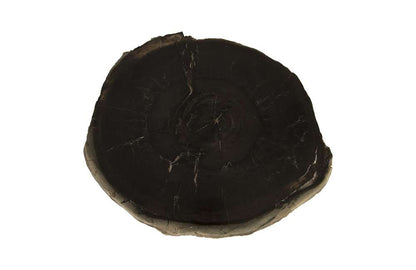 Phillips Collection - Petrified Wood Coffee Table, SS Legs, Assorted - ID85629 veiw 2
