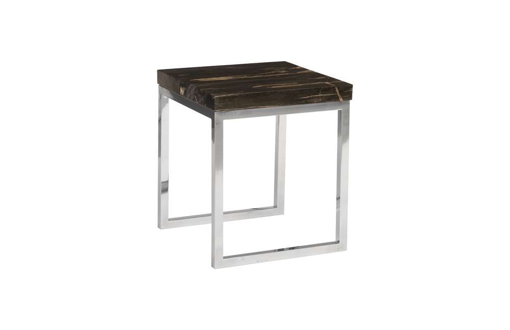 Phillips Collection - Petrified Wood Side Table, Laminated - ID93095 veiw 1