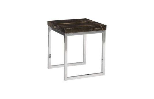 Phillips Collection - Petrified Wood Side Table, Laminated - ID93095 veiw 1