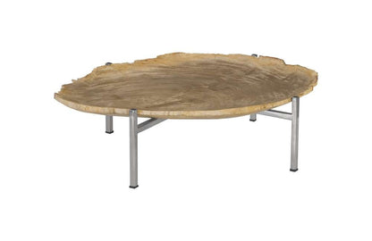 Phillips Collection - Petrified Wood Tray, Stainless Steel Base, Assorted Styles and Sizes - ID88055 veiw 1