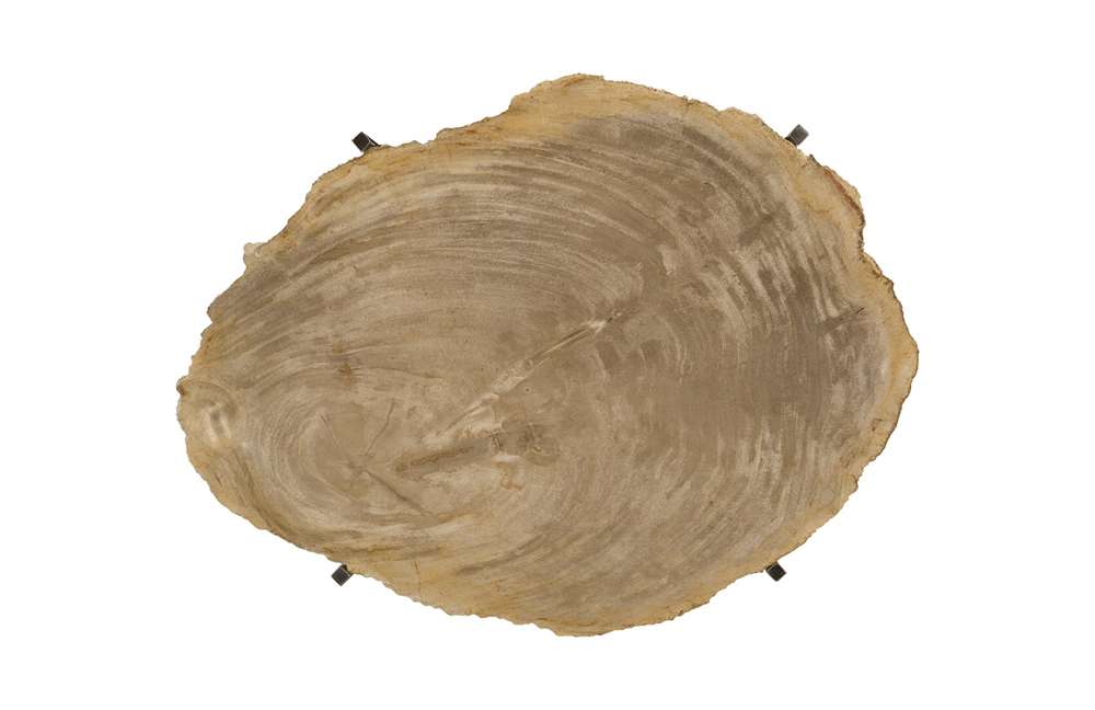 Phillips Collection - Petrified Wood Tray, Stainless Steel Base, Assorted Styles and Sizes - ID88055 veiw 2