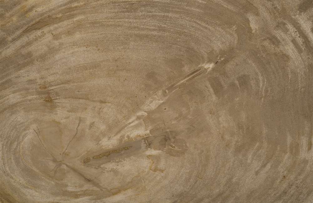 Phillips Collection - Petrified Wood Tray, Stainless Steel Base, Assorted Styles and Sizes - ID88055 veiw 3