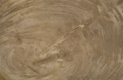 Phillips Collection - Petrified Wood Tray, Stainless Steel Base, Assorted Styles and Sizes - ID88055 veiw 3