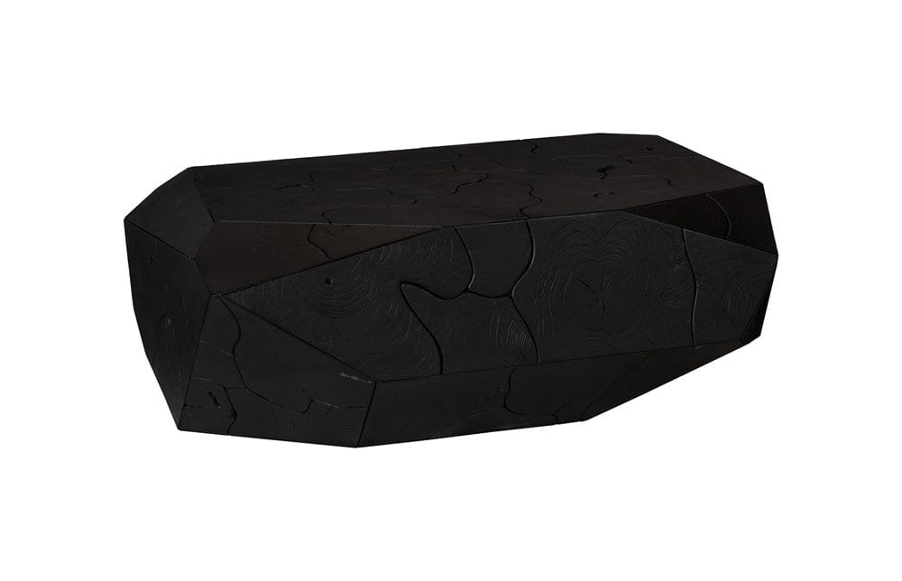 Phillips Collection - Prism Coffee Table, Black Finish - ID115918 view 1